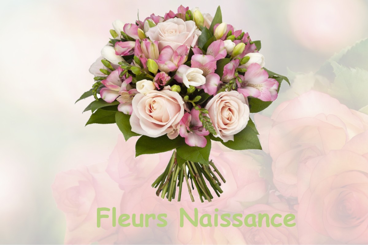 fleurs naissance LARRIVOIRE