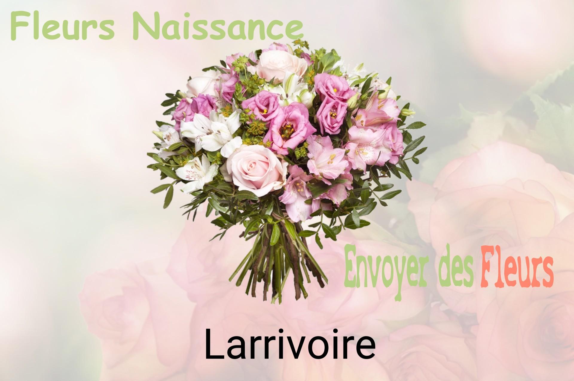 Bouquet de fleurs de naissance livré à Larrivoire