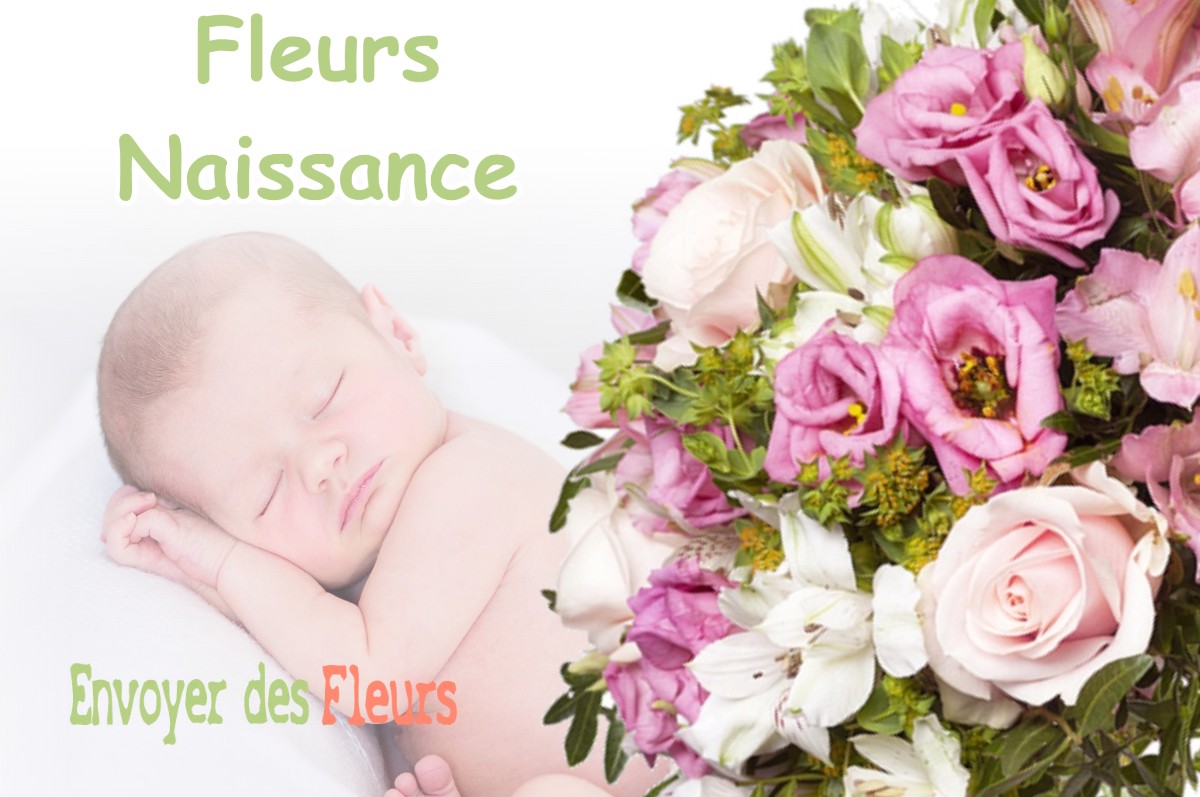 lIVRAISON FLEURS NAISSANCE à LARRIVOIRE